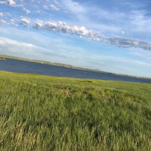 💵BUNDLE AND SAVE! ✅ Send me an offer - I will entertain all reasonable offers.